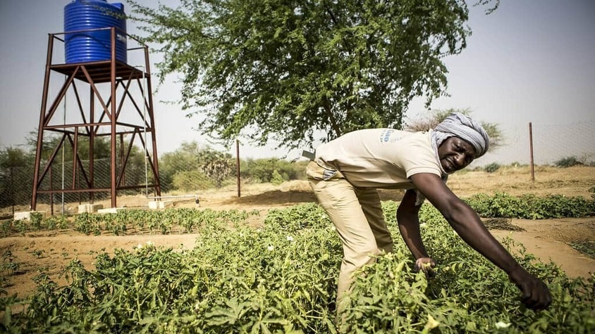 Paysan africain dans son champ pour atteindre son autonomie alimentaire grâce à votre don association contre la famine