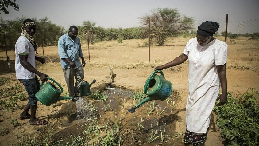 Fermiers africains arrosant leur culture maraîcher pour se nourrir sainement et durablement