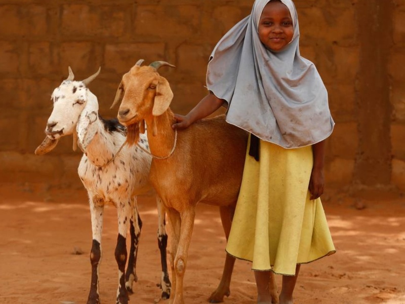 Aïd‑al‑Adha Solidaire, Urgence Alimentaire